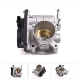 Nosso CMN 133062   Cuerpo mariposa