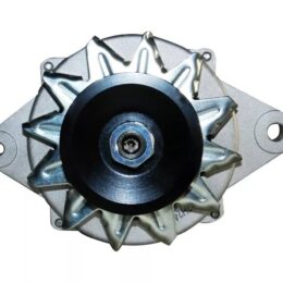 Nosso ANH 170505   Alternador