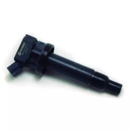 Nosso BIN 201812   Bobina de ignicion