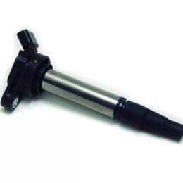 Nosso BIN 202252   Bobina de ignicion