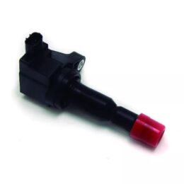 Nosso BIN 211110   Bobina de ignicion