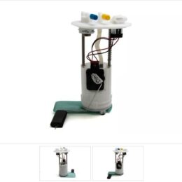 Nosso BNCJ 12     Bocina Caracol