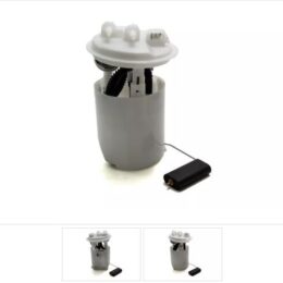 Nosso BNCJ-003    Bocina Caracol