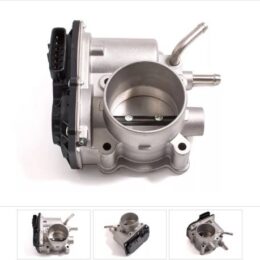 Nosso CMN 022041   Cuerpo mariposa