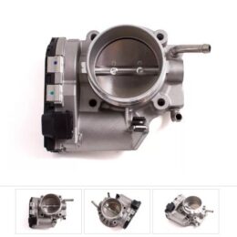 Nosso CMN 025400   Cuerpo mariposa