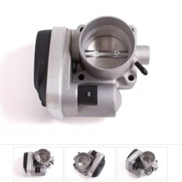 Nosso CMN 138538   Cuerpo mariposa