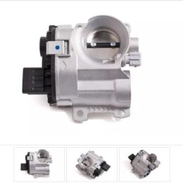 Nosso CMN 171134   Cuerpo mariposa