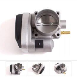 Nosso CMN 183237   Cuerpo mariposa