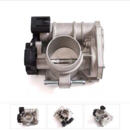 Nosso CMN 202032   Cuerpo mariposa