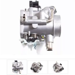 Nosso CMN 3062BD   Cuerpo mariposa