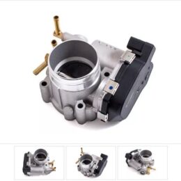 Nosso CMN 313785   Cuerpo mariposa