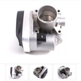 Nosso CMN 33062P   Cuerpo mariposa