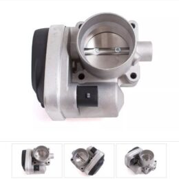 Nosso CMN 33063P   Cuerpo mariposa