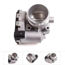 Nosso CMN 338177   Cuerpo mariposa