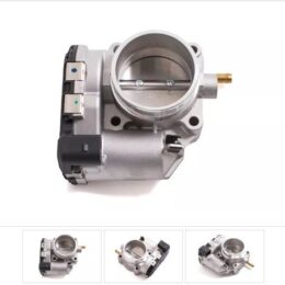 Nosso CMN 397828   Cuerpo mariposa