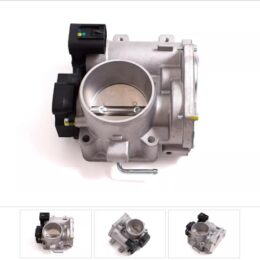 Nosso CMN 4GTE3V   Cuerpo mariposa