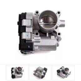 Nosso CMN 502387   Cuerpo mariposa