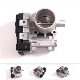 Nosso CMN 533515   Cuerpo mariposa