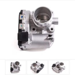 Nosso CMN 537636   Cuerpo mariposa