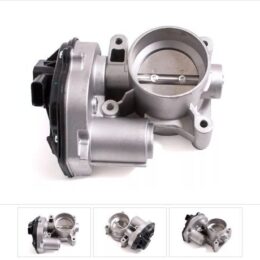 Nosso CMN 568712   Cuerpo mariposa