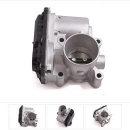 Nosso CMN 577375   Cuerpo mariposa