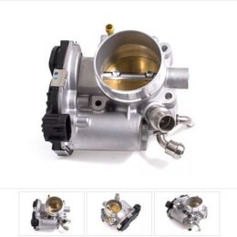 Nosso CMN 579417   Cuerpo mariposa