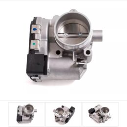 Nosso CMN 750560   Cuerpo mariposa