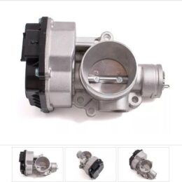 Nosso CMN 884080   Cuerpo mariposa