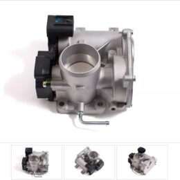 Nosso CMN TE3F1C   Cuerpo mariposa