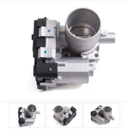 Nosso CMN TE3F1D   Cuerpo mariposa