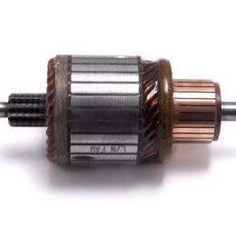 Nosso INN BOS001   Inducido