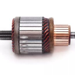 Nosso INN BOS002   Inducido