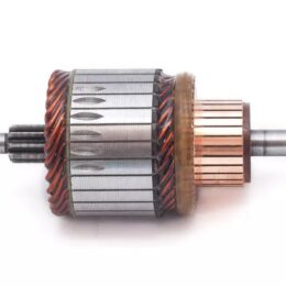 Nosso INN BOS003   Inducido