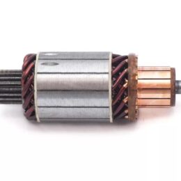 Nosso INN BOS006   Inducido