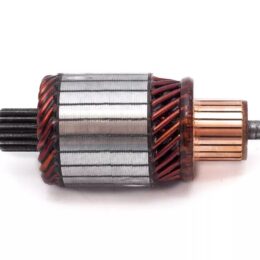 Nosso INN BOS007   Inducido