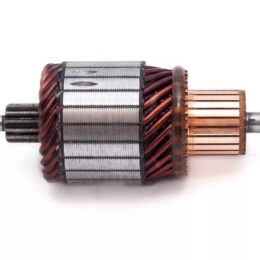 Nosso INN BOS009   Inducido