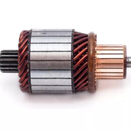 Nosso INN BOS010   Inducido