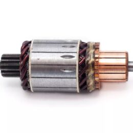 Nosso INN BOS011   Inducido