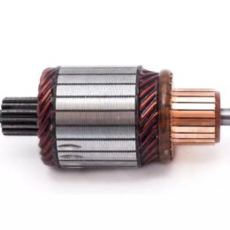 Nosso INN BOS012   Inducido