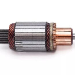 Nosso INN BOS013   Inducido