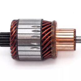 Nosso INN BOS015   Inducido