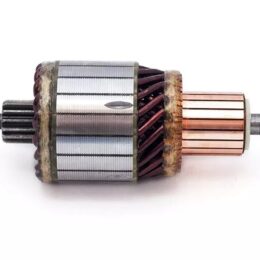 Nosso INN BOS018   Inducido