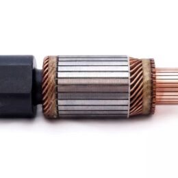 Nosso INN BOS019   Inducido