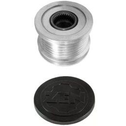 ZEN 5565